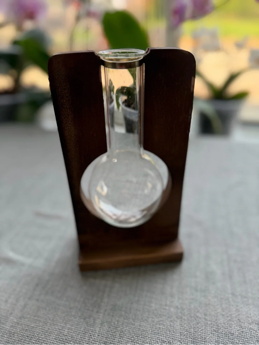 Hanging Glass Bulb Vase Propagation Station Wooden Stand Plant Terrarium Clear